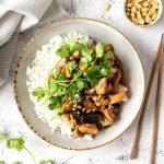 Tamarind chicken on rice with caramelised eggplant, coriander and roasted peanuts.